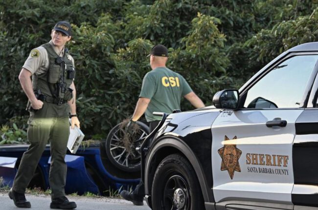 Three suspects arrested for Wednesday cannabis grow burglary | News