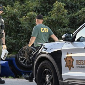 Santa Barbara County deputies arrest suspected cannabis farm burglars