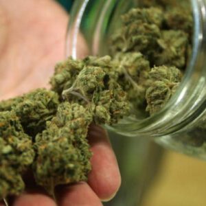 Minnesota Welcomes Its First Municipal Cannabis Dispensary