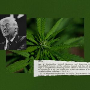 (Photo illustration by Salon / Getty Images / Win McNamee / Justin Sullivan / National Archives)