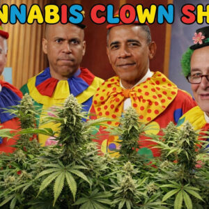 Think Democrats Can't Look Anymore Incompetent Right Now?—Trump Says 'Hold My Beer' and Reschedules Cannabis