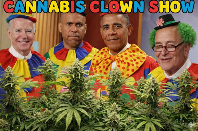 Think Democrats Can't Look Anymore Incompetent Right Now?—Trump Says 'Hold My Beer' and Reschedules Cannabis