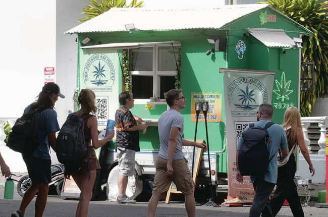 Report shows strong use of Hawaii medical cannabis program