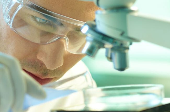 Tilray Builds Medical Cannabis And Spirits Pillars As Share Performance Lags