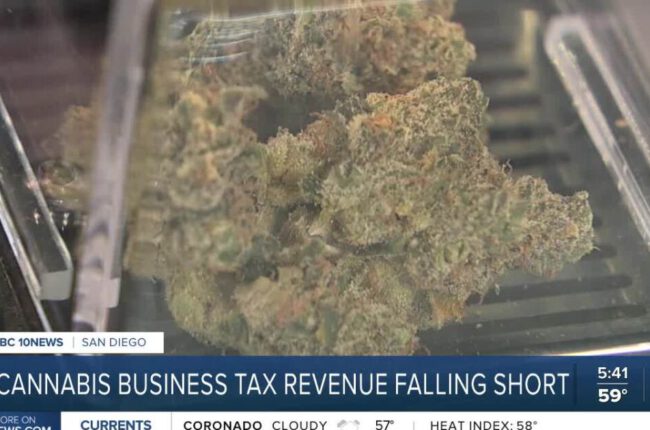City of San Diego's cannabis tax revenue falling short