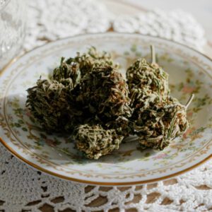 Cannabis Culture Can’t Afford to Keep Fighting Itself