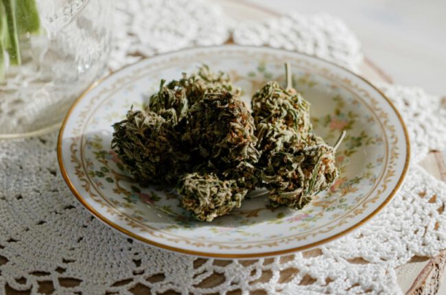 Cannabis Culture Can’t Afford to Keep Fighting Itself