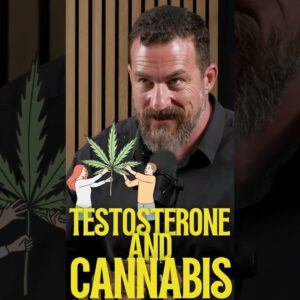 Does Cannabis use INCREASE Testosterone?