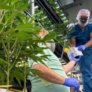 Ohio AG sues 9 cannabis operators, alleges they cut out Ohio-made products