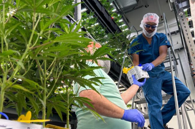 Ohio AG sues 9 cannabis operators, alleges they cut out Ohio-made products