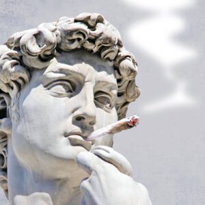 Florida's Cannabis Landscape Is Growing Like a Weed