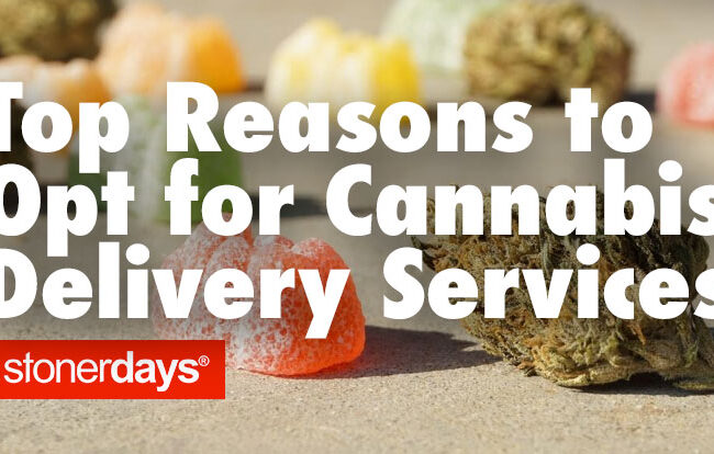 Top Reasons to Opt for Cannabis Delivery Services