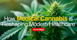 How Medical Cannabis is Reshaping Modern Healthcare