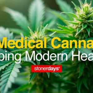 How Medical Cannabis is Reshaping Modern Healthcare