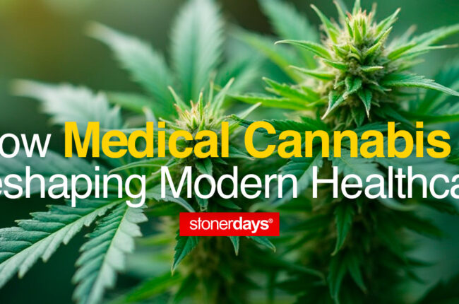 How Medical Cannabis is Reshaping Modern Healthcare
