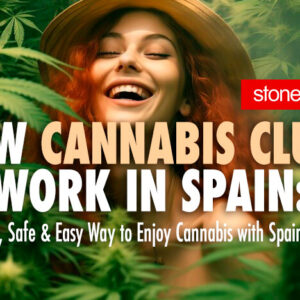 How Cannabis Clubs Work in Spain: A Legal, Safe & Easy Way to Enjoy Cannabis with Spain420.es