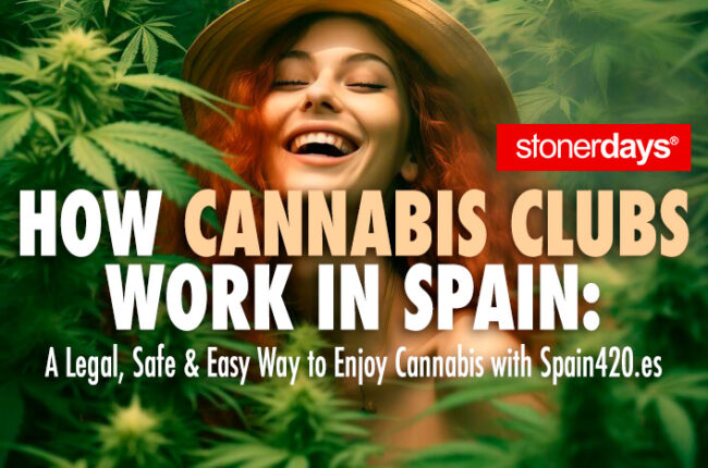 How Cannabis Clubs Work in Spain: A Legal, Safe & Easy Way to Enjoy Cannabis with Spain420.es