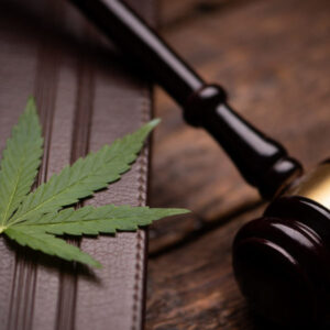 Florida’s Cannabis Legalization Efforts Face Challenges