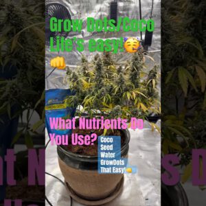 Grow Dots + Coco = ABC Easy as 123 #garden #growdots #coco #indoorgardening