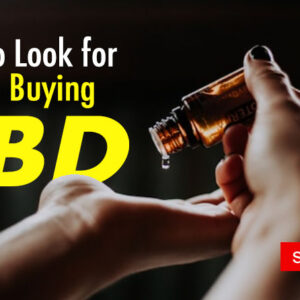 What to Look for When Buying CBD