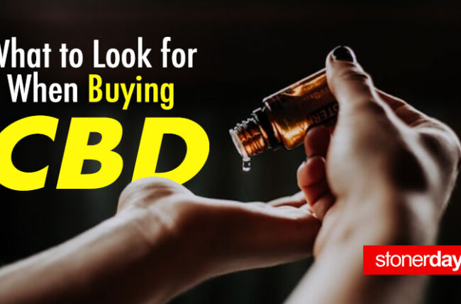 What to Look for When Buying CBD