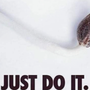 Marijuana Meme of the Day