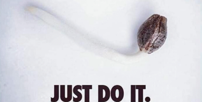 Marijuana Meme of the Day