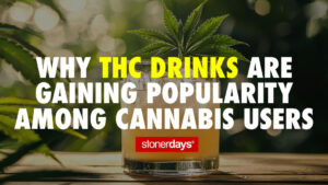 Why THC Drinks Are Gaining Popularity Among Cannabis Users