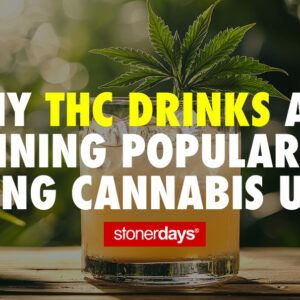 Why THC Drinks Are Gaining Popularity Among Cannabis Users