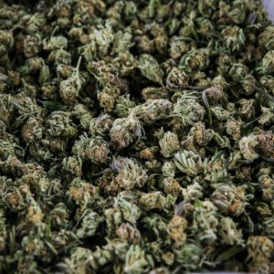 The internal strife at the Cannabis Control Commission was on full display Tuesday.