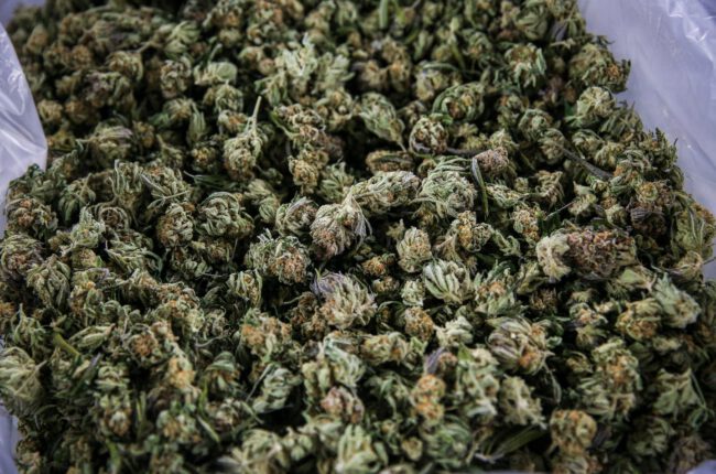 The internal strife at the Cannabis Control Commission was on full display Tuesday.