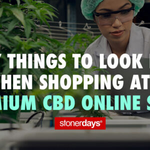 Key Things to Look for When Shopping at a Premium CBD Online Store