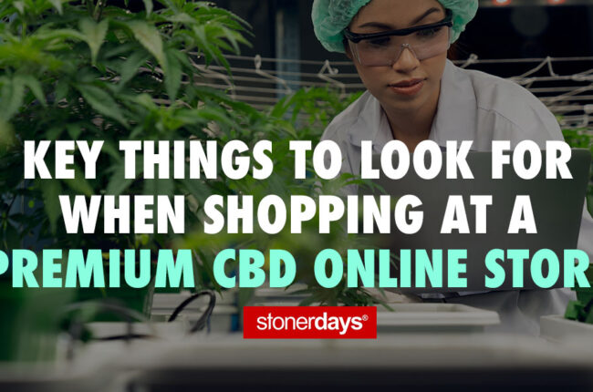 Key Things to Look for When Shopping at a Premium CBD Online Store