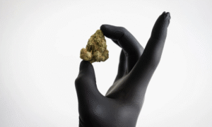 Online Cannabis Sales Are Booming In Germany—And The Government Is Racing To Catch Up