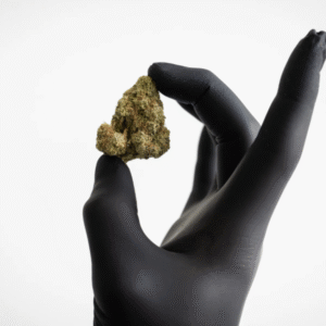 Online Cannabis Sales Are Booming In Germany—And The Government Is Racing To Catch Up