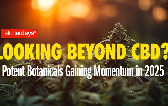 Looking Beyond CBD? Potent Botanicals Gaining Momentum in 2025