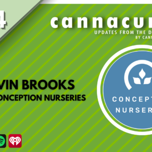 Cannacurio Podcast Episode 64 with Kevin Brooks of Conception Nurseries