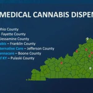 Beshear wants 16 medical conditions added to medical cannabis law