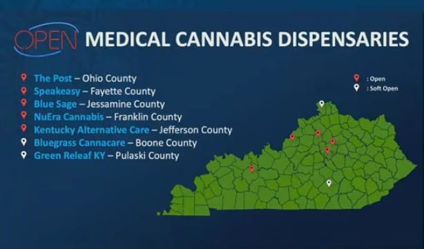 Beshear wants 16 medical conditions added to medical cannabis law