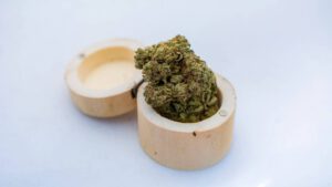 Washington House-Passed Bill Allowing Medical Cannabis Use in Health Care Facilities for Terminal Patients Moves to Senate