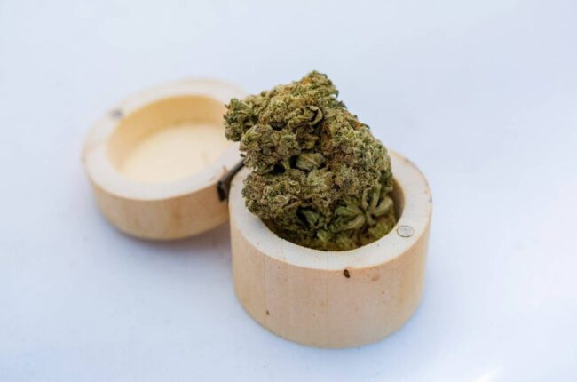 Washington House-Passed Bill Allowing Medical Cannabis Use in Health Care Facilities for Terminal Patients Moves to Senate