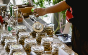 Cannabis, Black owned