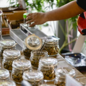 Cannabis, Black owned