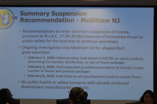 Jersey Strong Mollitiam cannabis license