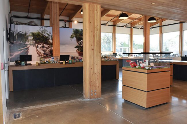 Interior of Little Beach Harvest dispensary featuring wooden architectural elements, natural lighting, and curated cannabis product displays.