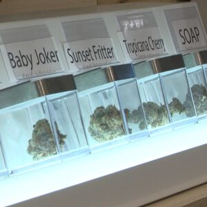 White Earth Nation plans cannabis dispensary in East Grand Forks - InForum