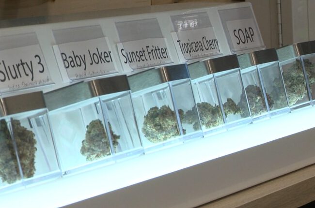 White Earth Nation plans cannabis dispensary in East Grand Forks - InForum