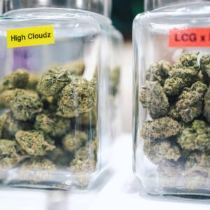 Ohio AG Sues Major Cannabis Operators, Alleging Price-Fixing — What It Signals For Michigan’s Market