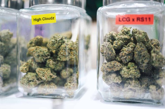 Ohio AG Sues Major Cannabis Operators, Alleging Price-Fixing — What It Signals For Michigan’s Market