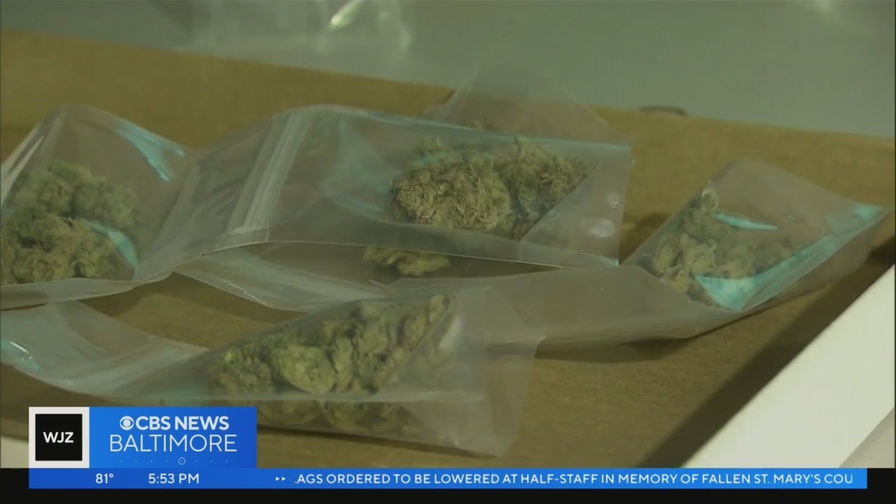 Maryland weed dispensaries to prioritize patients as state prepares for legalization
